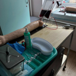 osetrovatelstvi_26_2