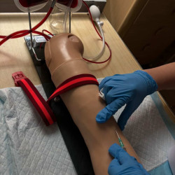 osetrovatelstvi_26_4